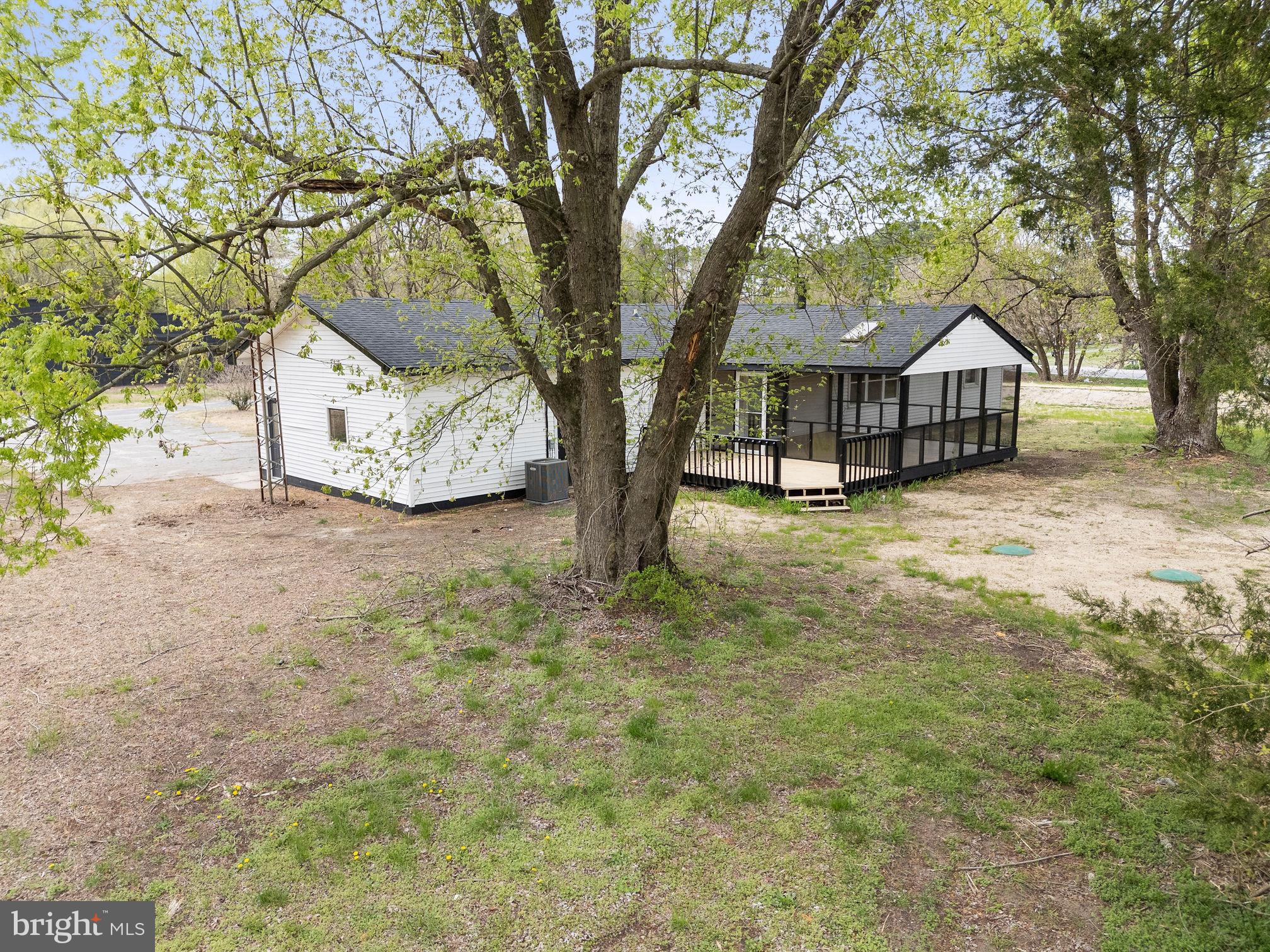 6749 Eldorado Road Federalsburg, MD 21632 - Photo 28 of 39 a large tree in front of a white house
