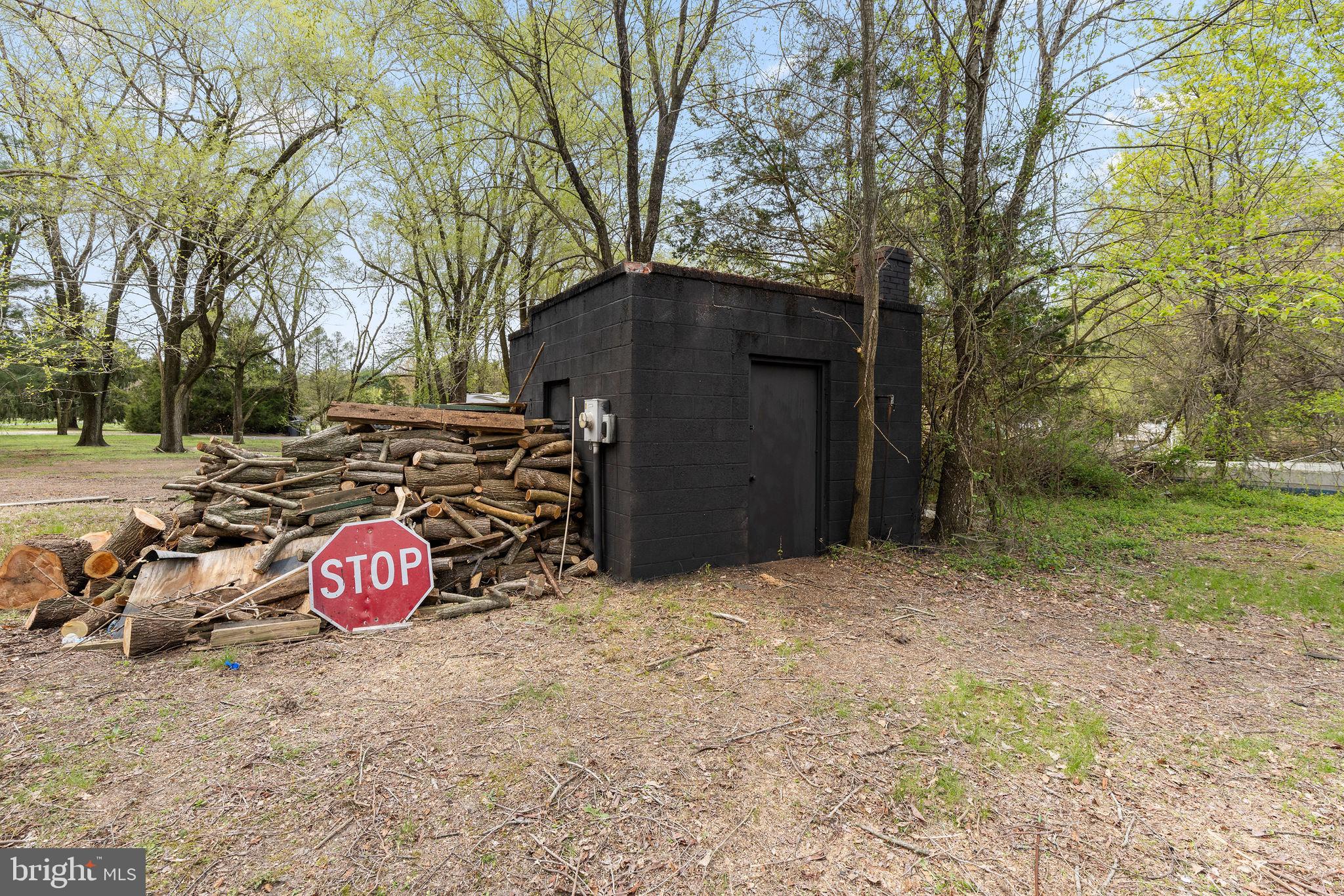 6749 Eldorado Road Federalsburg, MD 21632 - Photo 31 of 39 a street view with tall trees