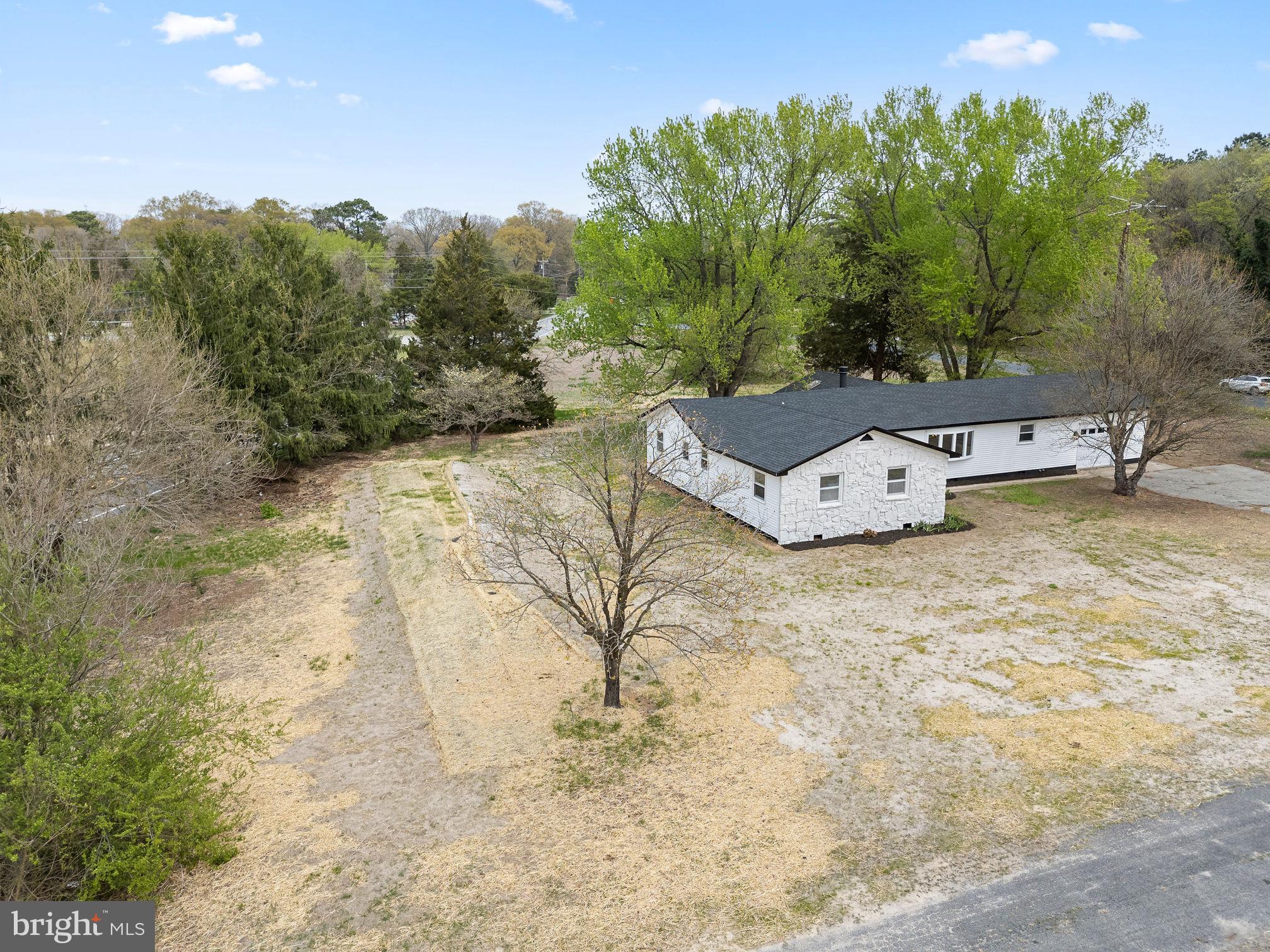 6749 Eldorado Road Federalsburg, MD 21632 - Photo 39 of 39 a view of a field with trees in front of it