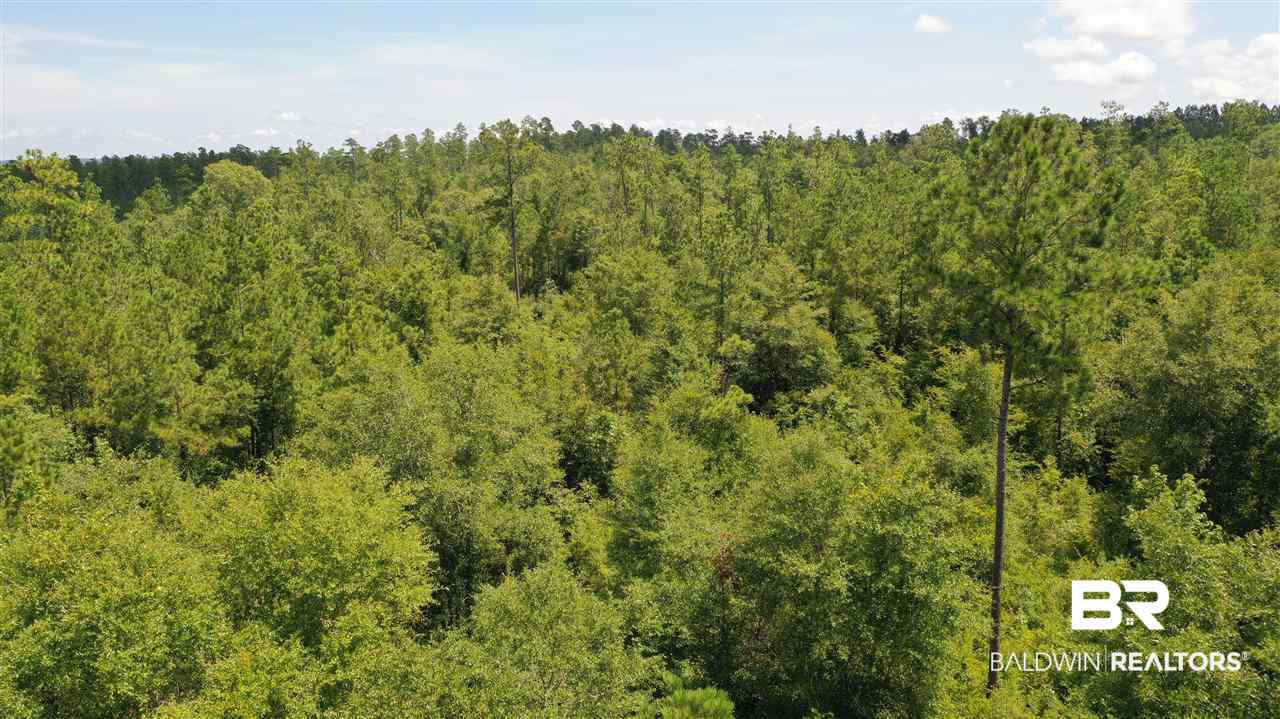 0 Highway 4 Jay, FL 32565 - Photo 31 of 50