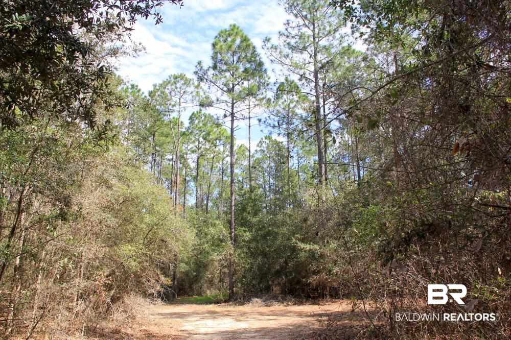 0 County Road 49 Loxley, AL 36551 - Photo 23 of 33