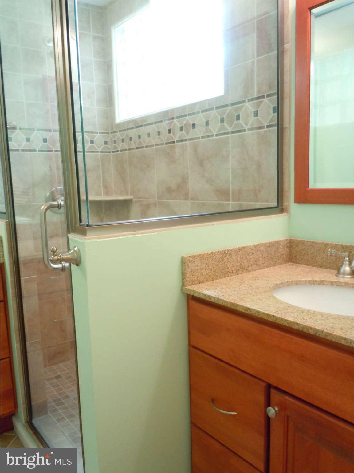 1231 Riverside Avenue Baltimore, MD 21230 - Photo 22 of 30 Bath (Master)
