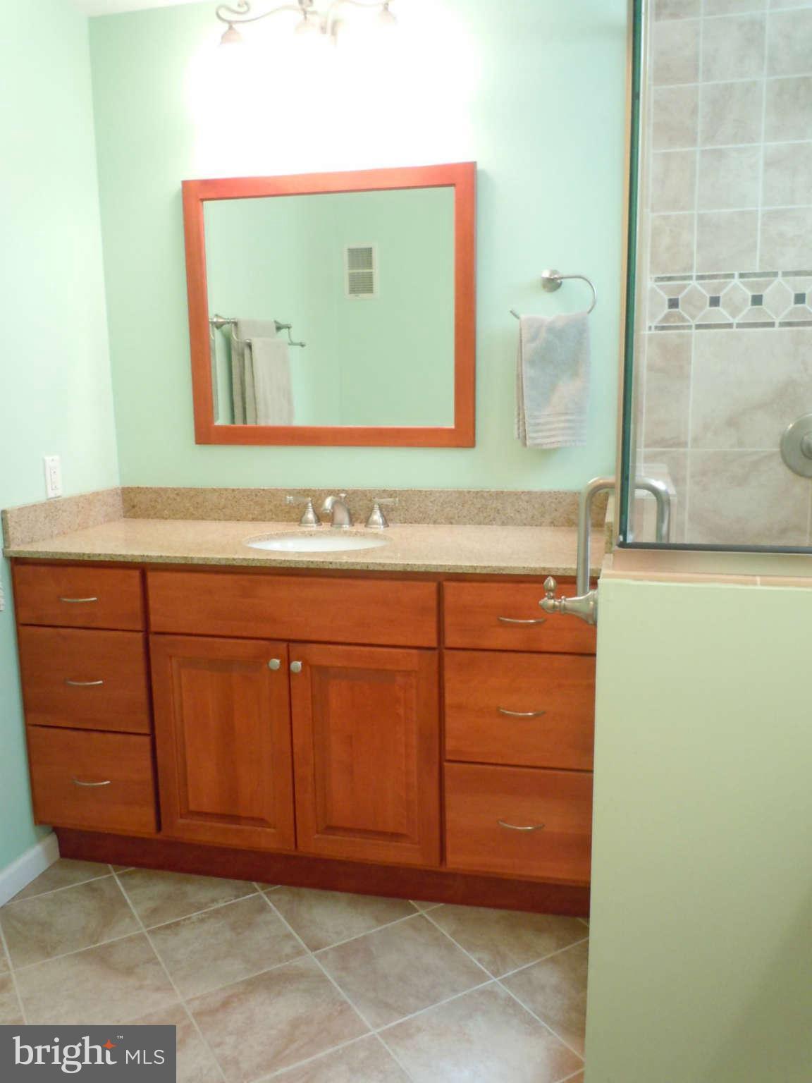 1231 Riverside Avenue Baltimore, MD 21230 - Photo 23 of 30 Bath (Master)