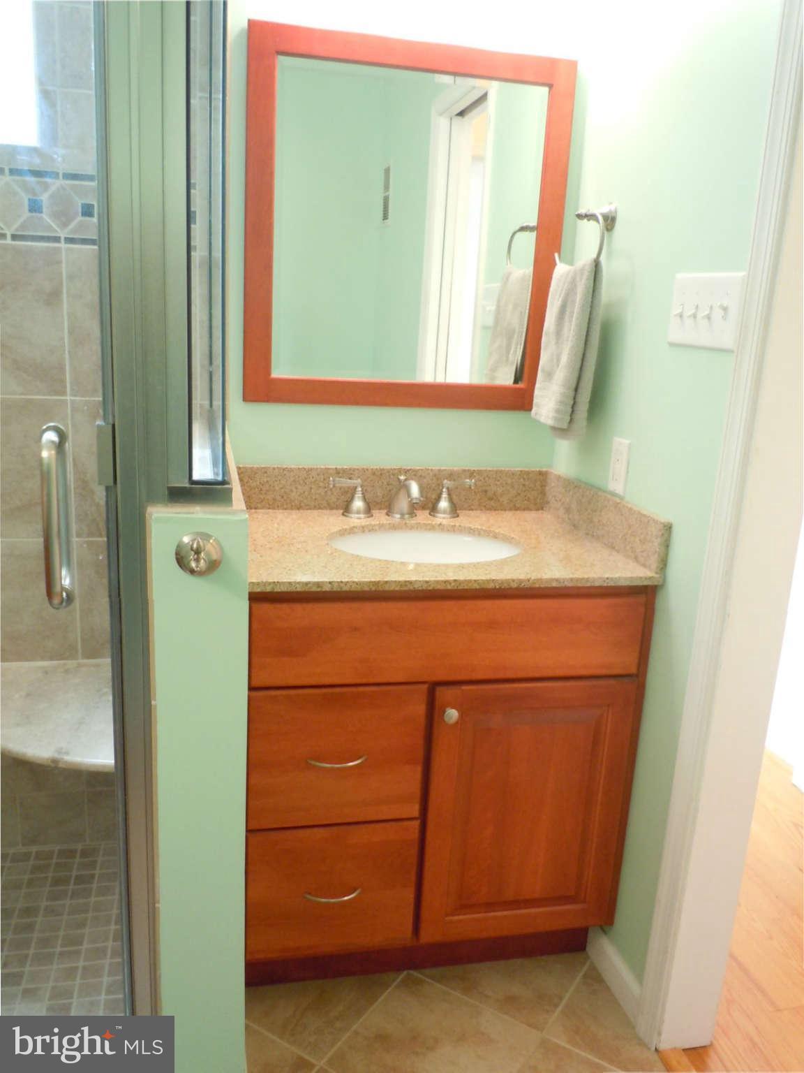 1231 Riverside Avenue Baltimore, MD 21230 - Photo 24 of 30 Bath (Master)