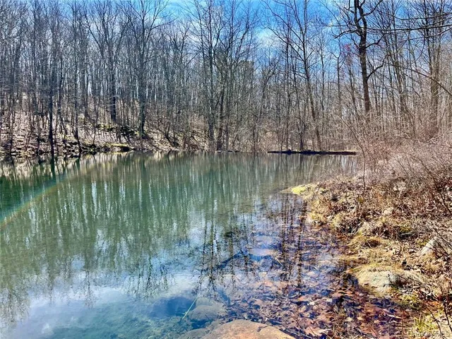 a view of a forest with a lake