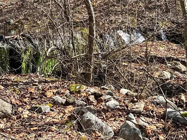 a view of house with trees in the background