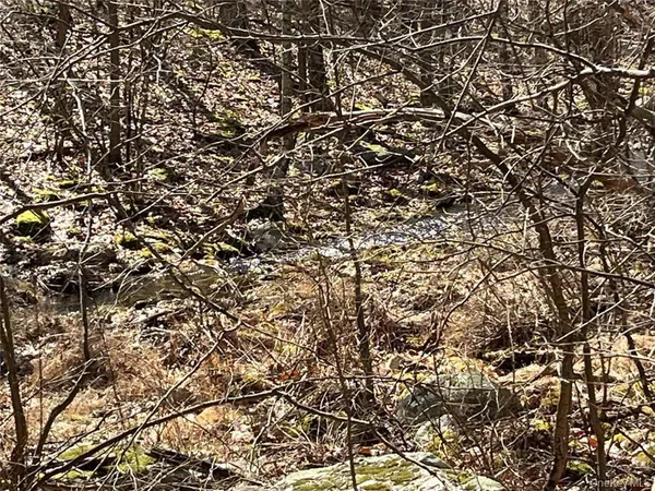a view of river covered by trees
