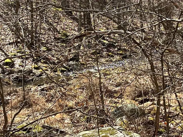 a view of river covered by trees