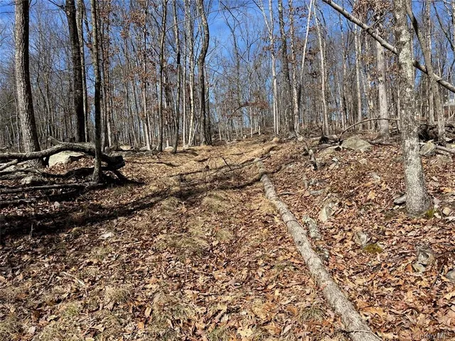 $1,800,000 | Greenville Turnpike, Port Jervis, NY 12771