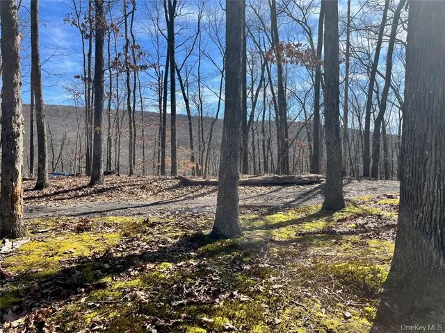 a view of a yard with trees