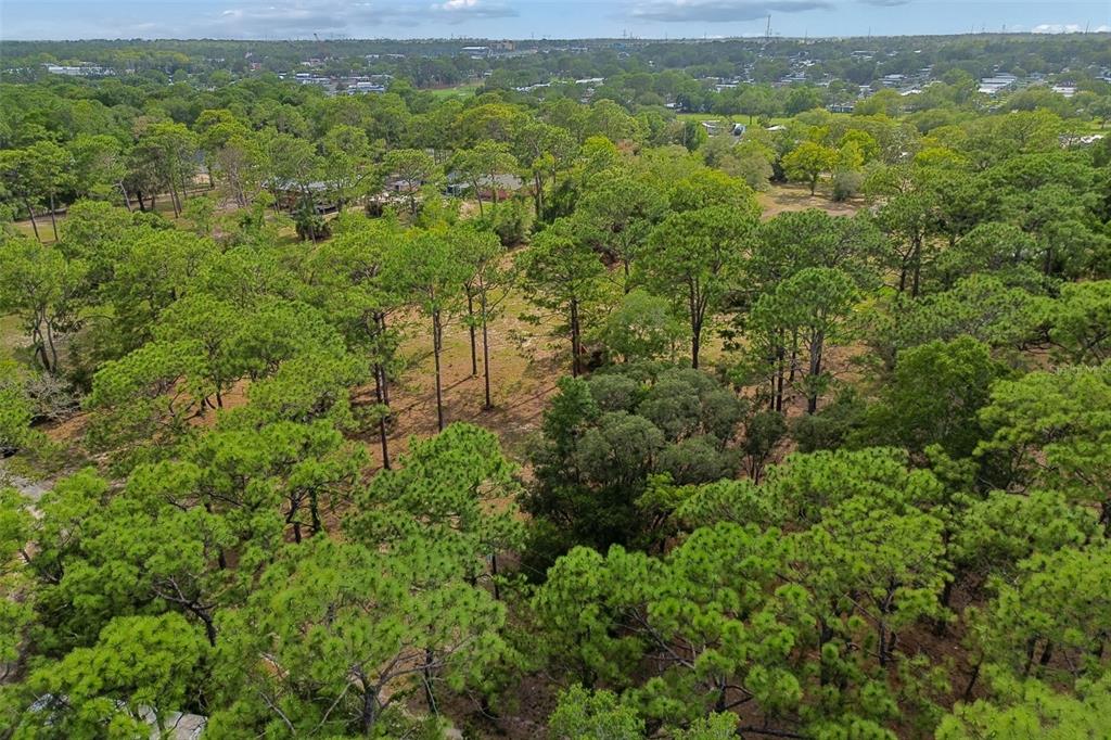 Grove Road Brooksville, FL 34613 - Photo 24 of 26