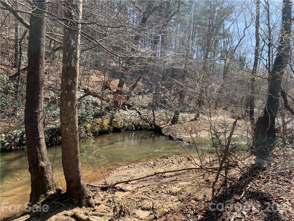 999 Holbert Cove Road, Unit 3 Saluda, NC 28773 - Photo 5 of 6 a view of a lake with trees