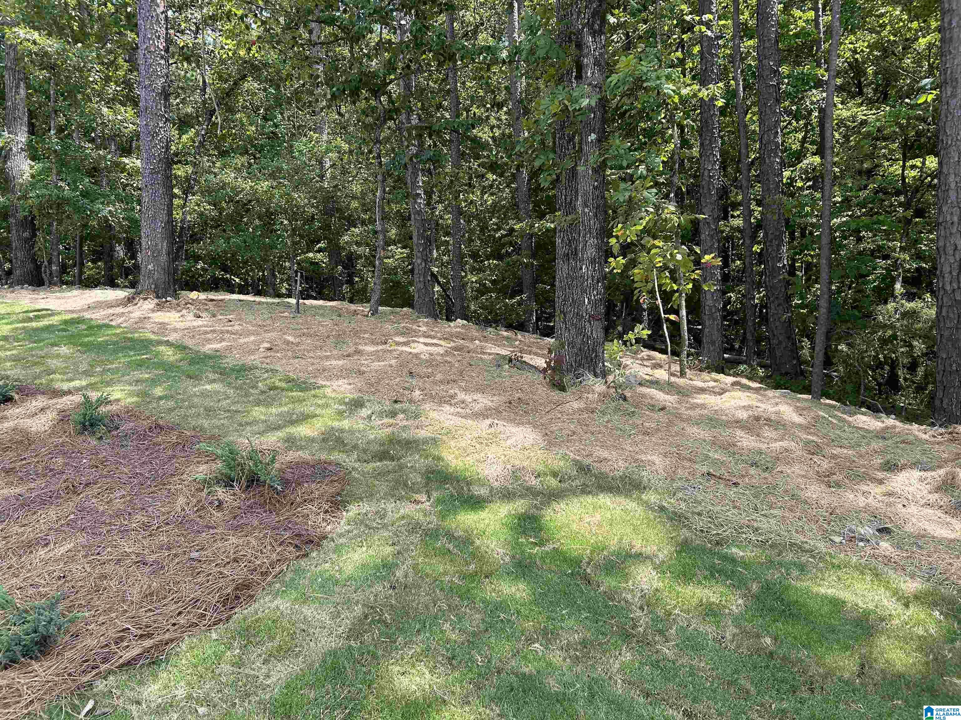308 Cedar Grove Parkway Alabaster, AL 35007 - Photo 10 of 32