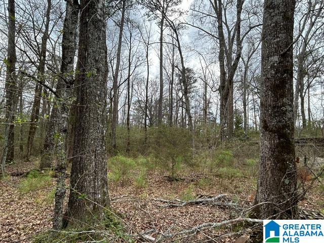 66 Shady Lane, Unit 7678 Ohatchee, AL 36271 - Photo 1 of 12