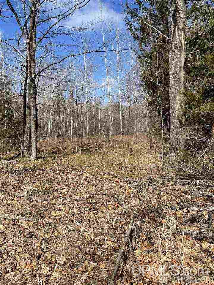 Tbd Tbd Co Road, Unit 1 Marquette, MI 49855 - Photo 45 of 50