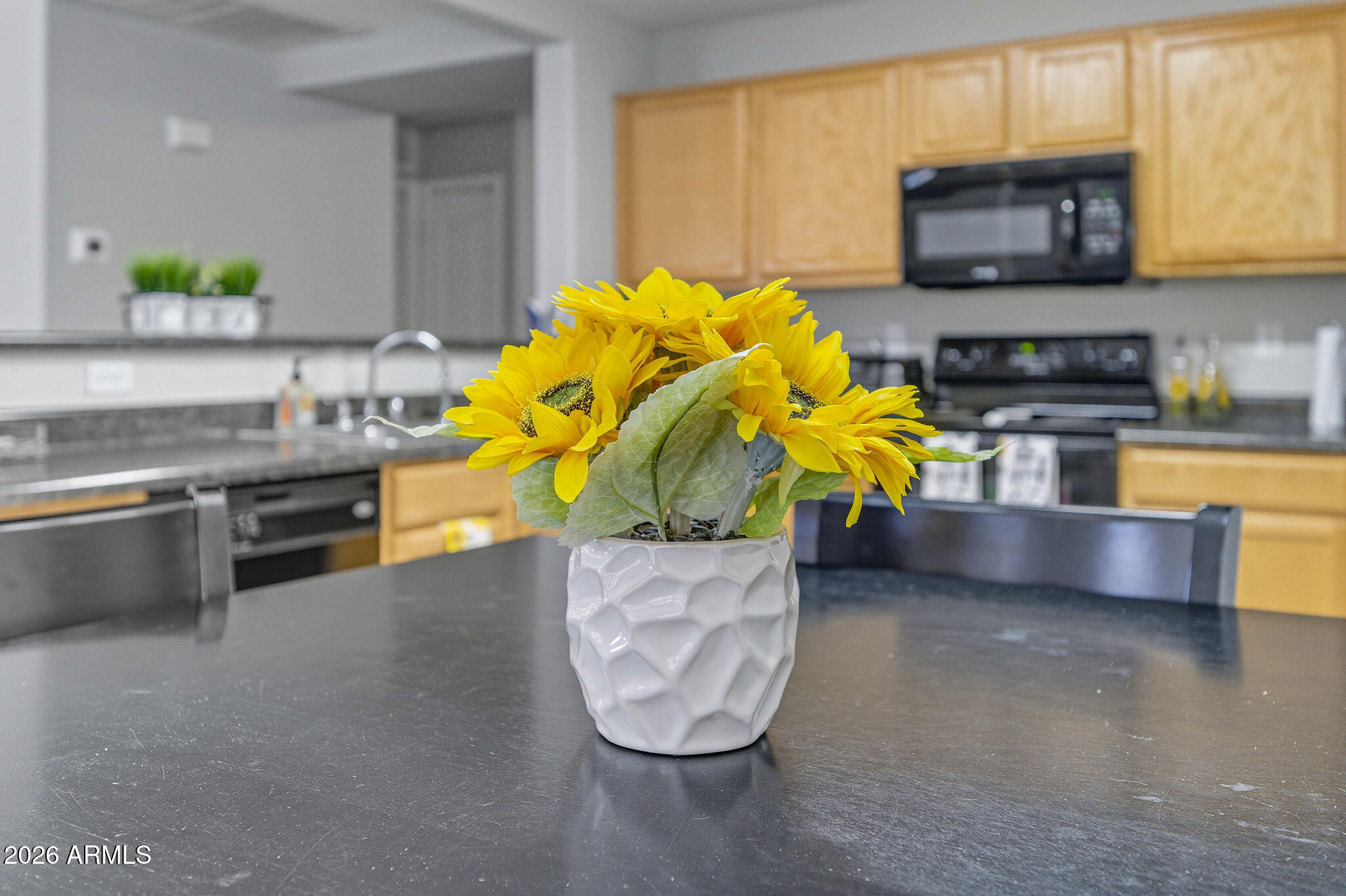 45023 Miramar Road Maricopa, AZ 85139 - Photo 35 of 46 45023WMiramarRd-34