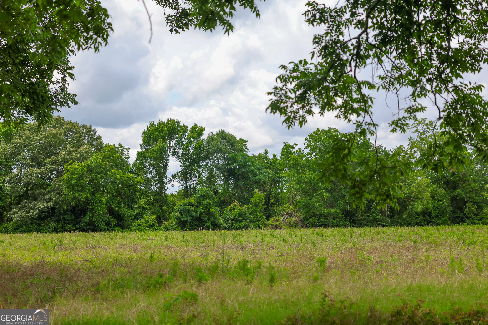 1 Haynes Road Edison, GA 39846 - Photo 7 of 25