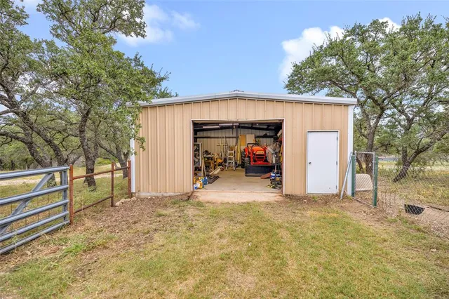 a view of a forest with trees in the background