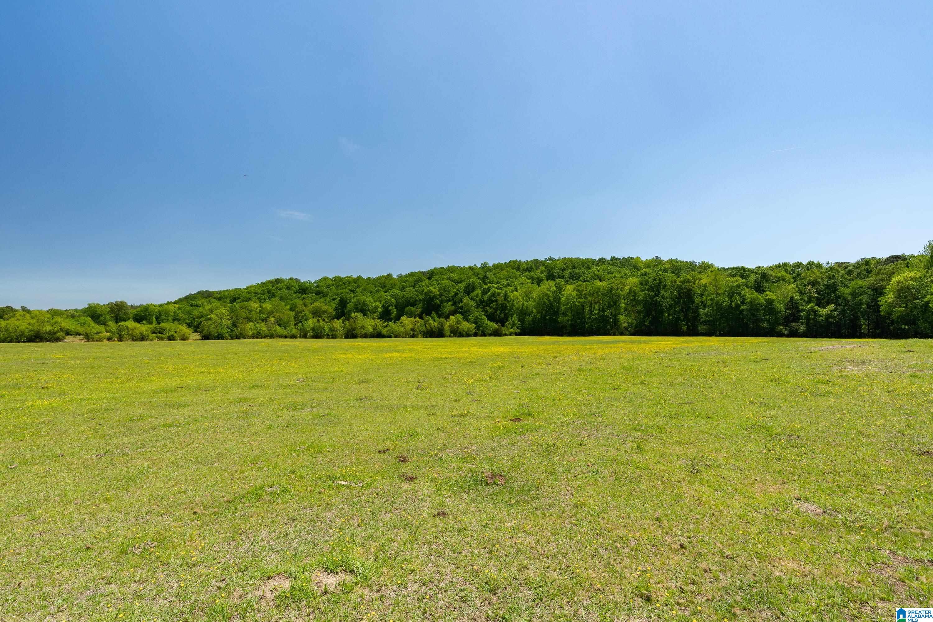 4493 Odens Mill Road Sylacauga, AL 35151 - Photo 54 of 62