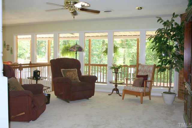 1606 Medfield Road Raleigh, NC 27607 - Photo 2 of 10 a living room with furniture and a large window