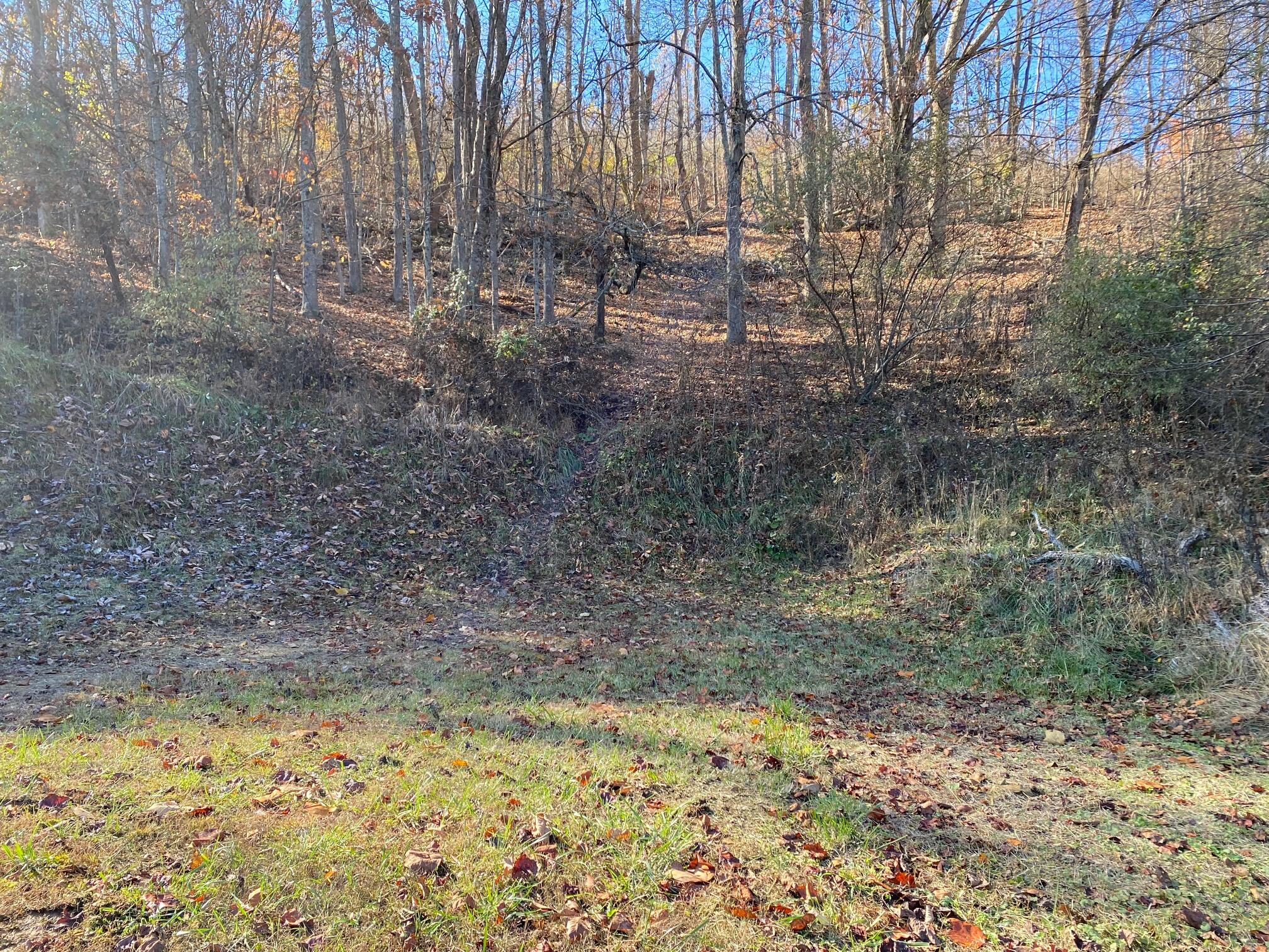 24491 Walden Road Abingdon, VA 24210 - Photo 3 of 4 IMG_3163