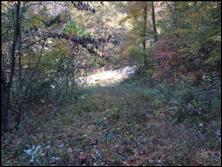 1773 Fairview Road Tellico Plains, TN 37385 - Photo 1 of 8 Secluded
