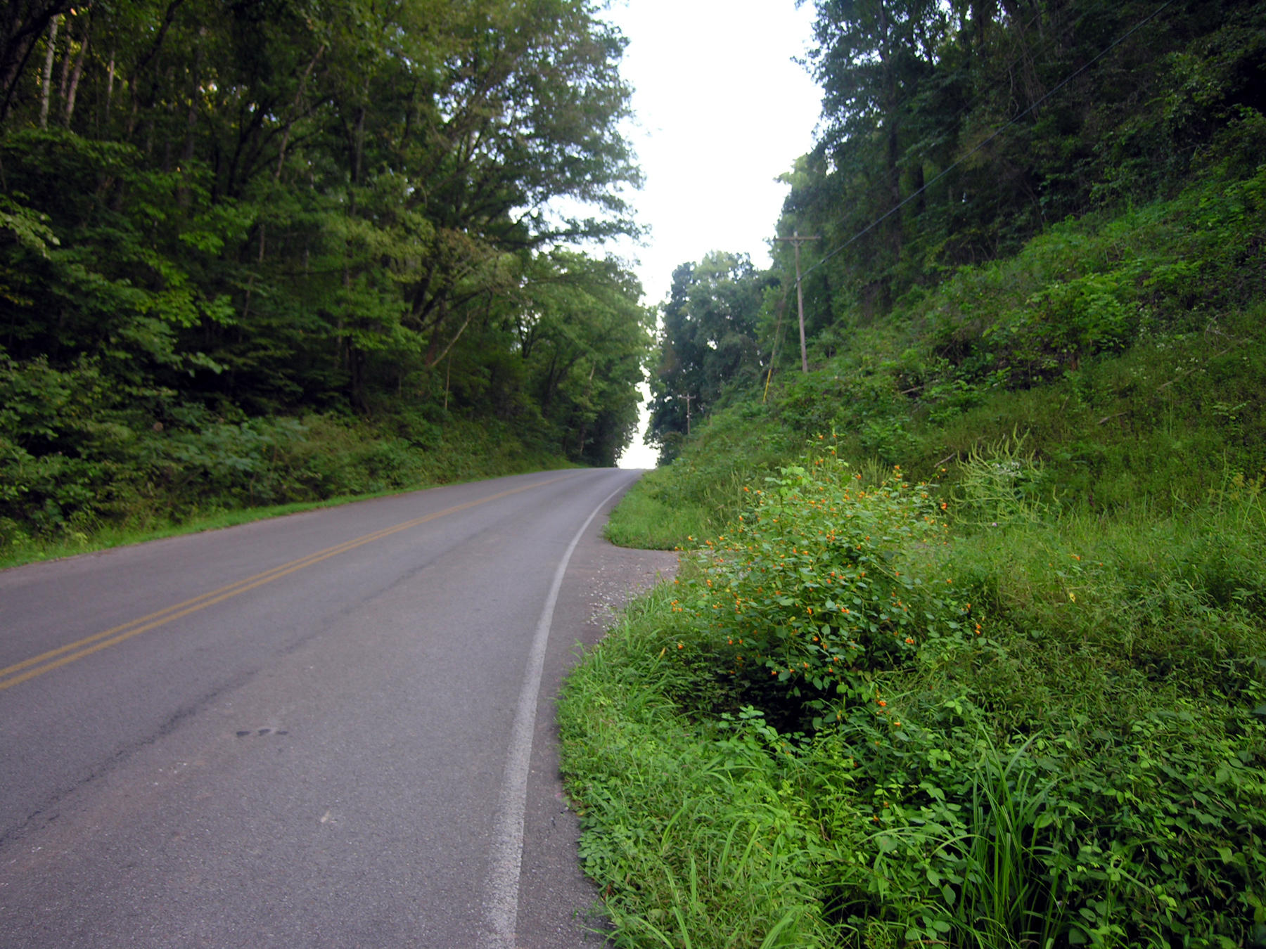 1773 Fairview Road Tellico Plains, TN 37385 - Photo 5 of 8 good road frontage
