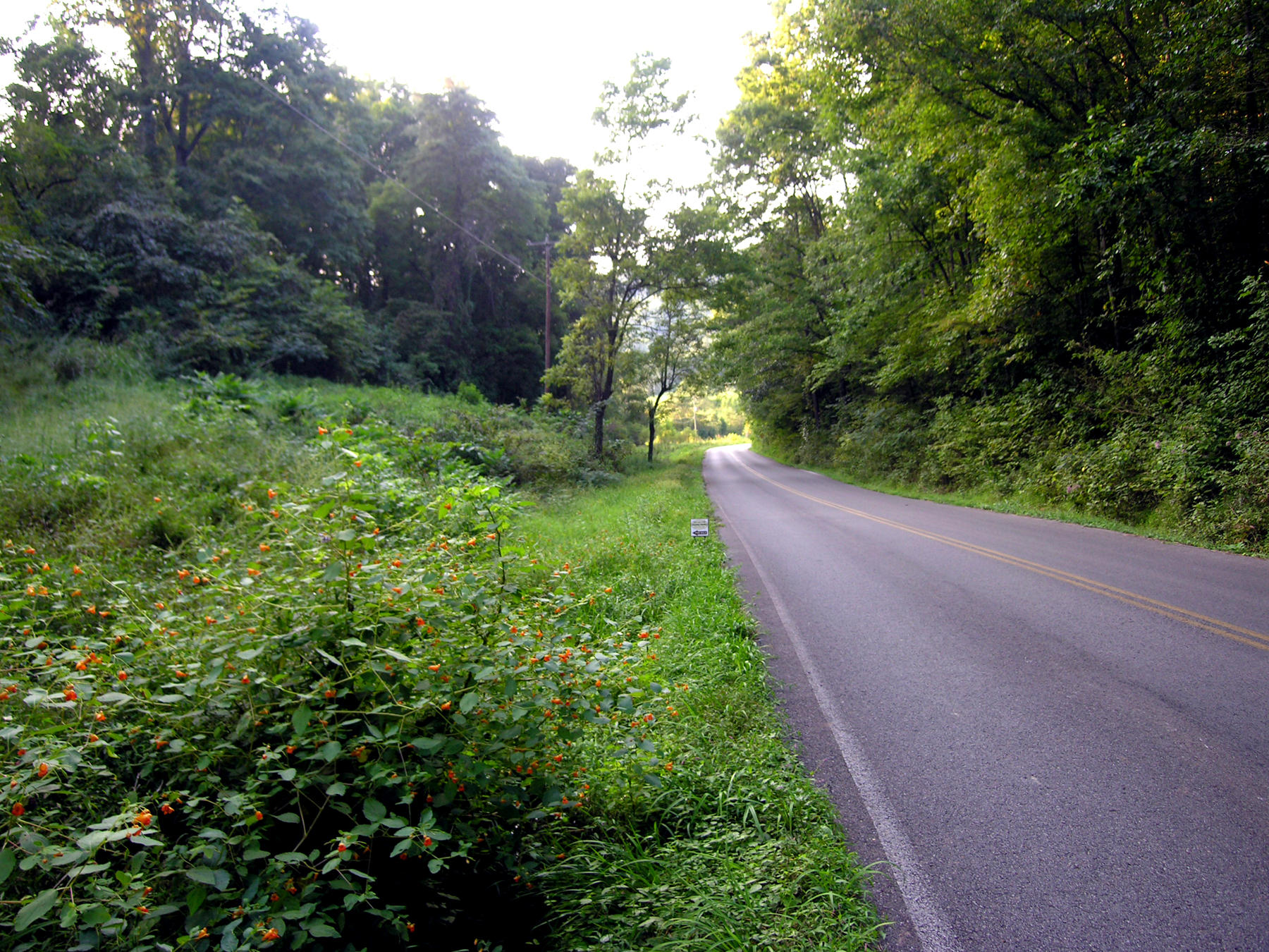 1773 Fairview Road Tellico Plains, TN 37385 - Photo 6 of 8 Fairview Road