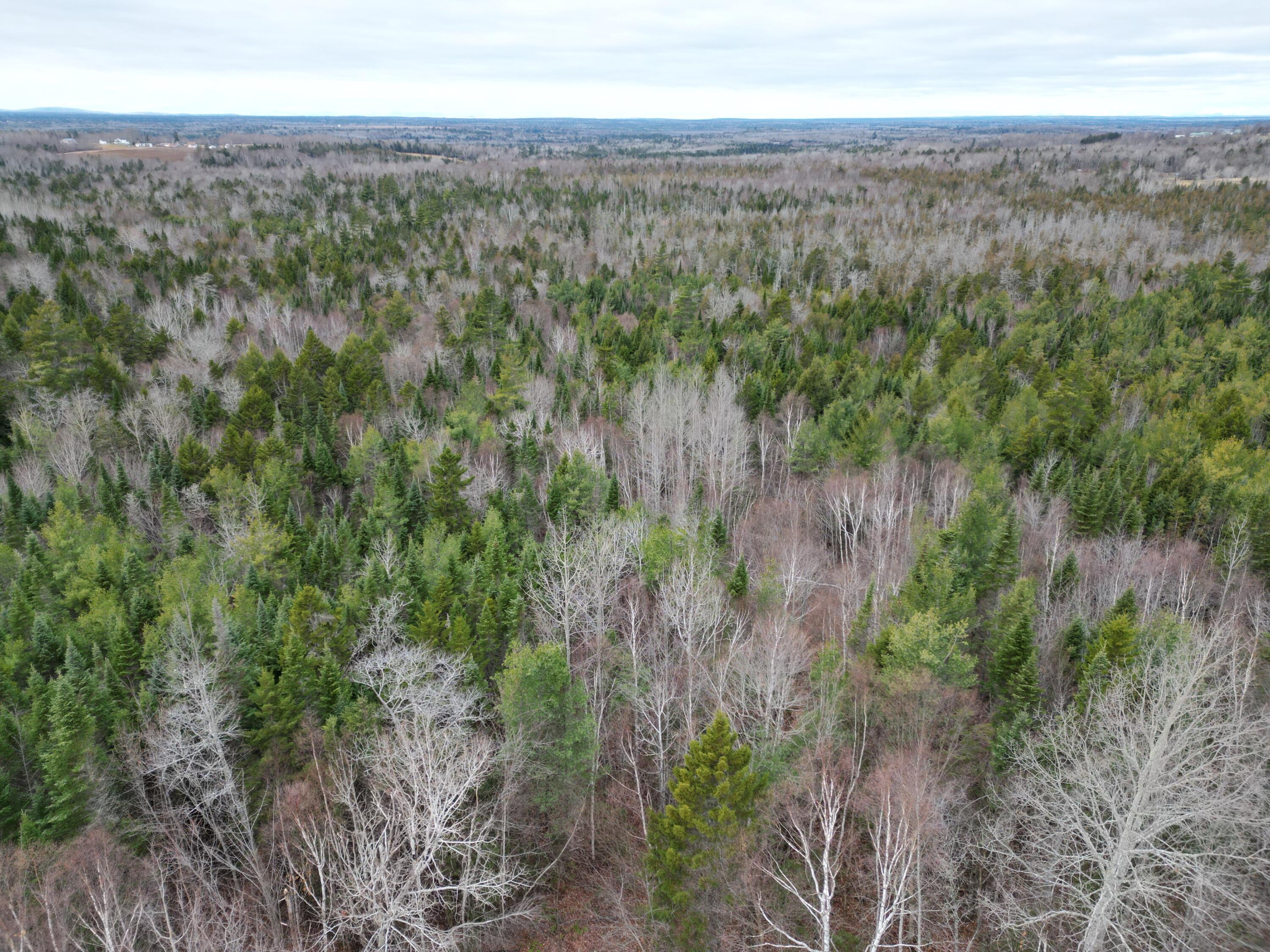 Lot 3 Freedom Way Springfield, ME 04487 - Photo 11 of 18 DJI_0974