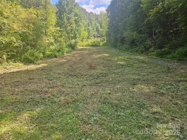 a view of a yard with a tree
