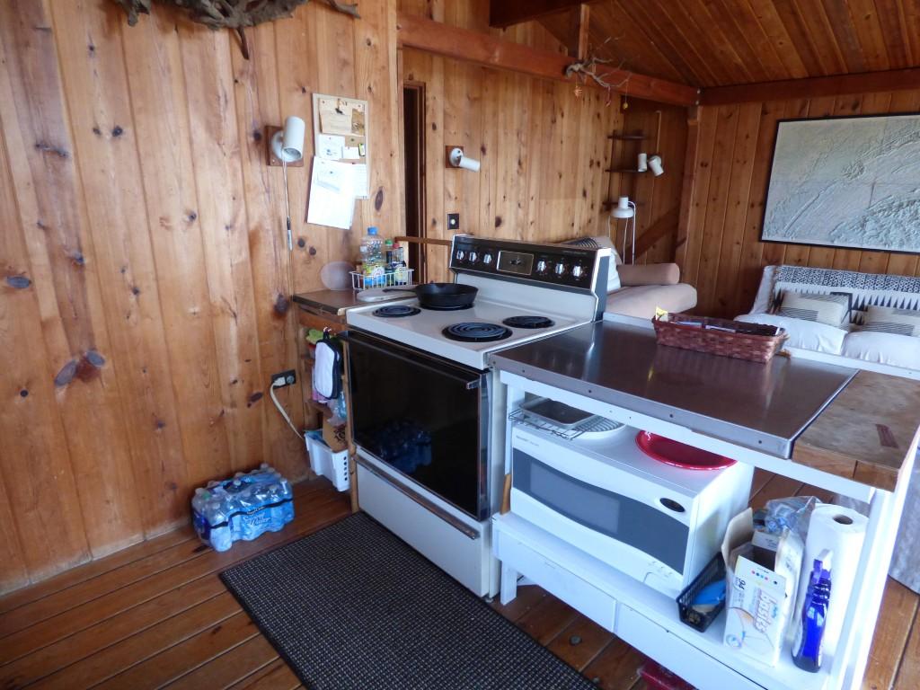 175 Red Cloud Road Ten Mile, TN 37880 - Photo 11 of 39 Kitchen 2 (Medium)