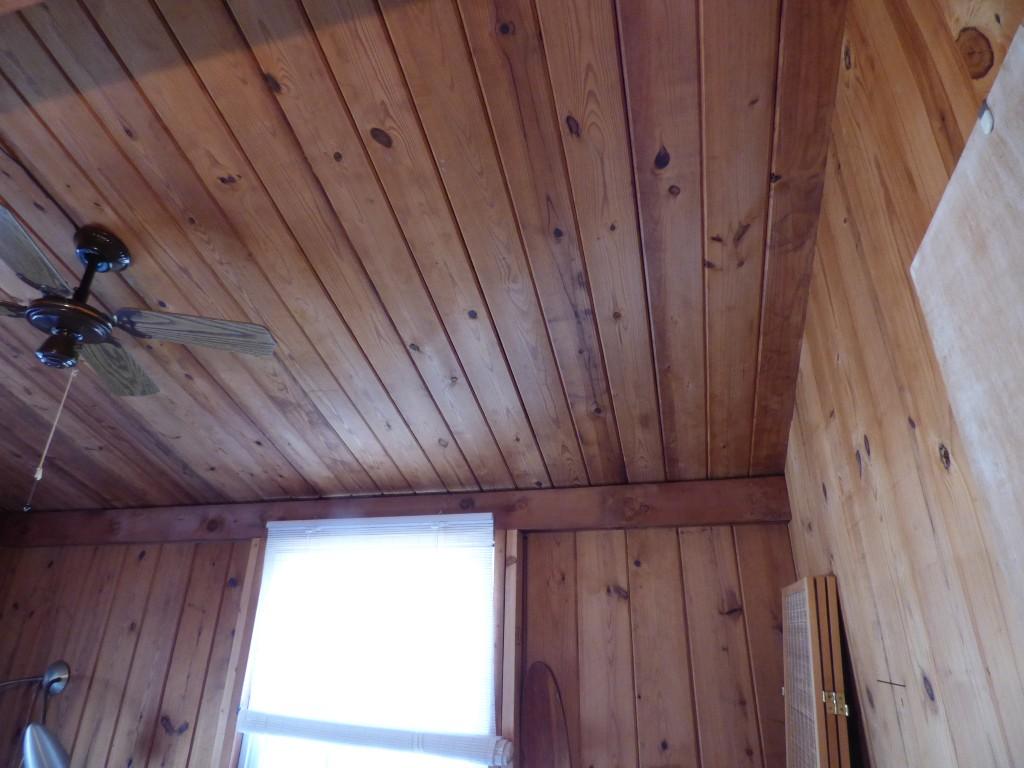 175 Red Cloud Road Ten Mile, TN 37880 - Photo 13 of 39 Ceiling (Medium)