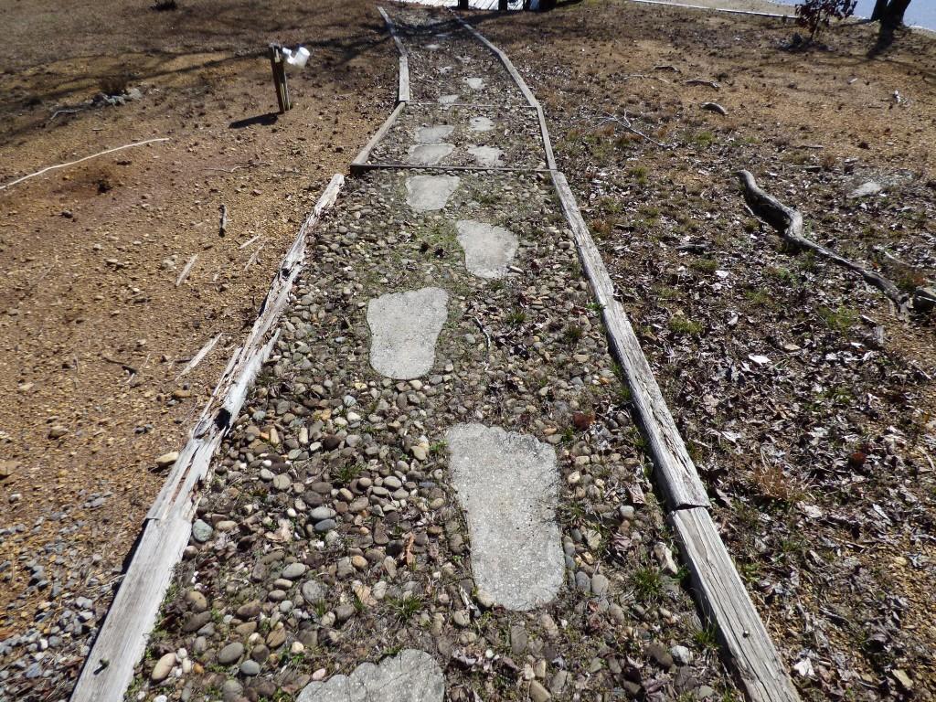 175 Red Cloud Road Ten Mile, TN 37880 - Photo 15 of 39 Path to dock (Medium)