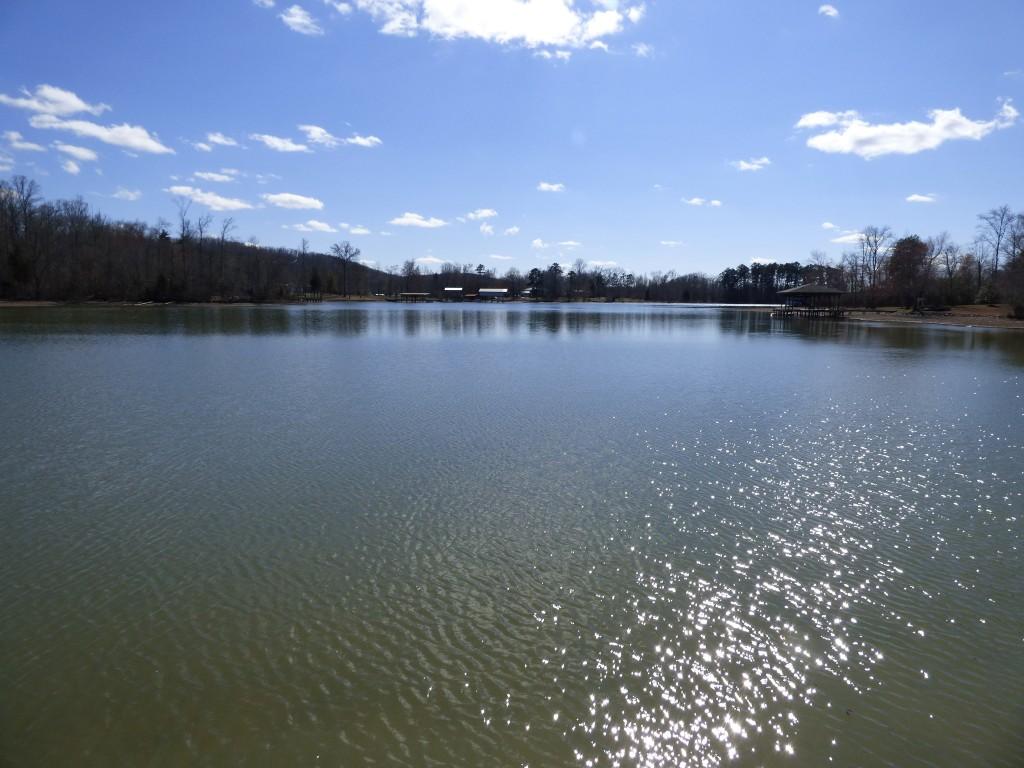 175 Red Cloud Road Ten Mile, TN 37880 - Photo 21 of 39 Waterview (Medium)