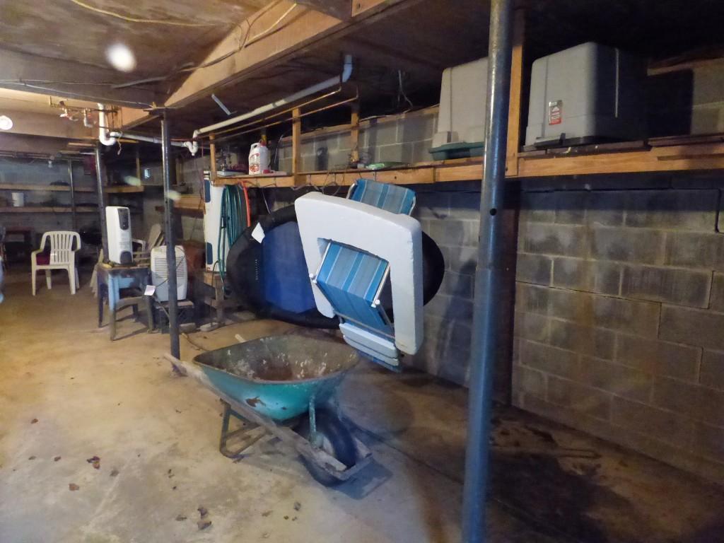 175 Red Cloud Road Ten Mile, TN 37880 - Photo 23 of 39 Basement storage (Medium)