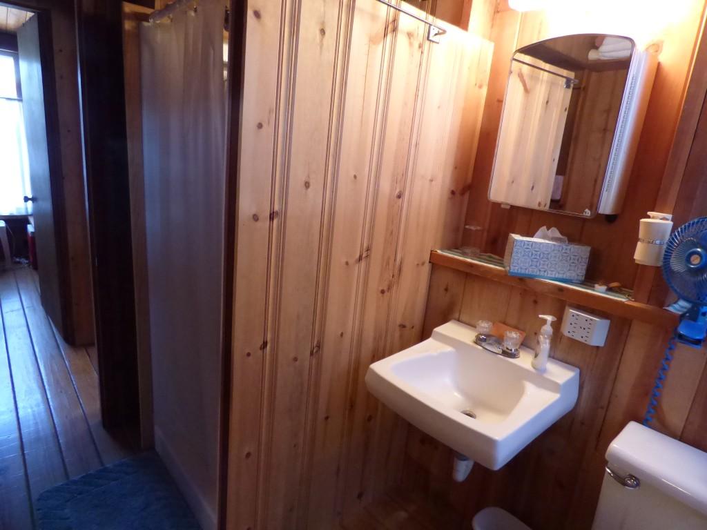 175 Red Cloud Road Ten Mile, TN 37880 - Photo 25 of 39 Bathroom (2) (Medium)