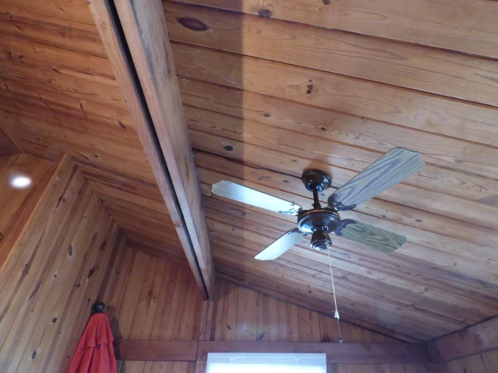 175 Red Cloud Road Ten Mile, TN 37880 - Photo 29 of 39 Ceiling (LR) (Medium)