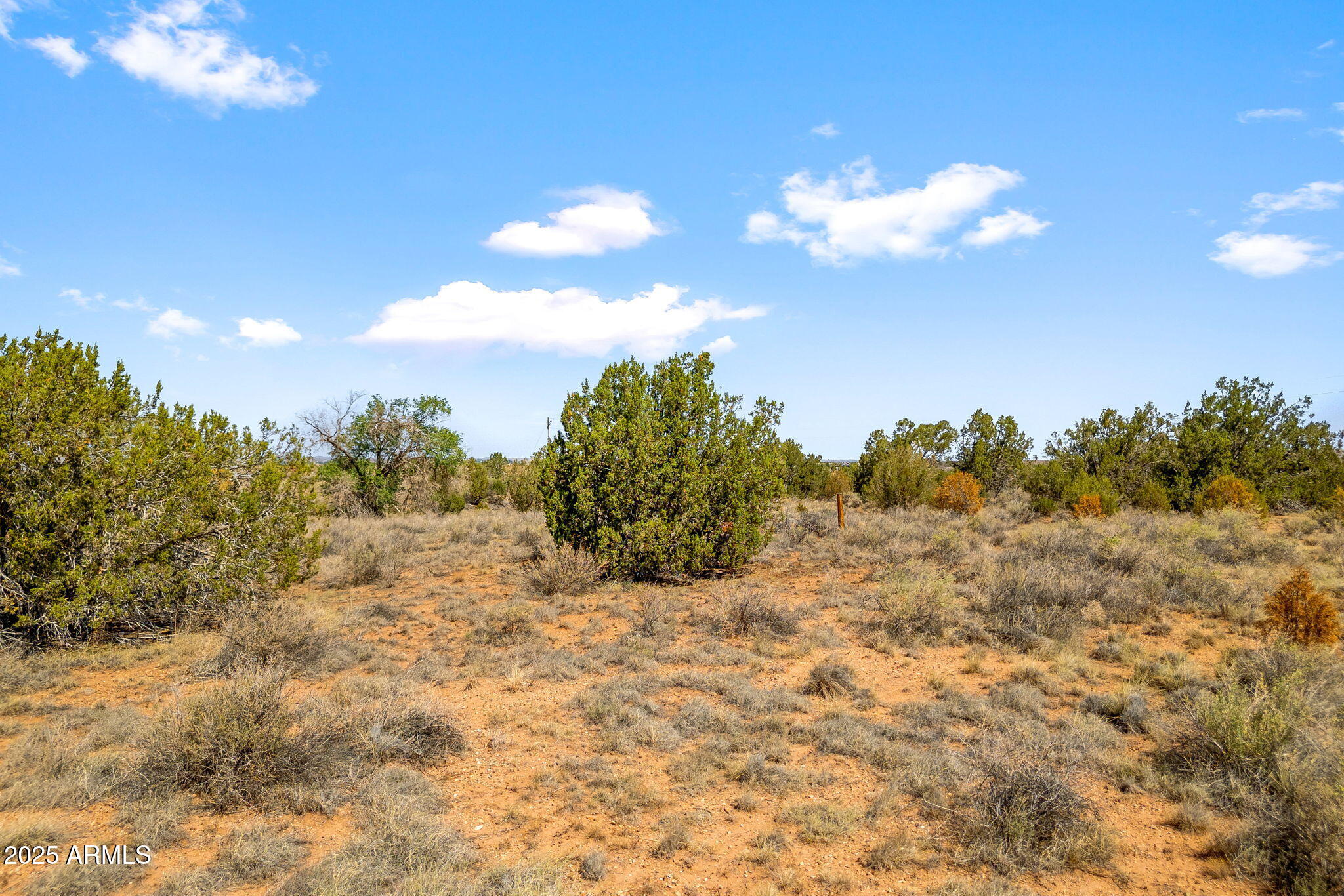 2808 South Bourdon Ranch Taylor, AZ 85939 - Photo 10 of 15 2808BourdonRanchRd-Taylor-AZ-15