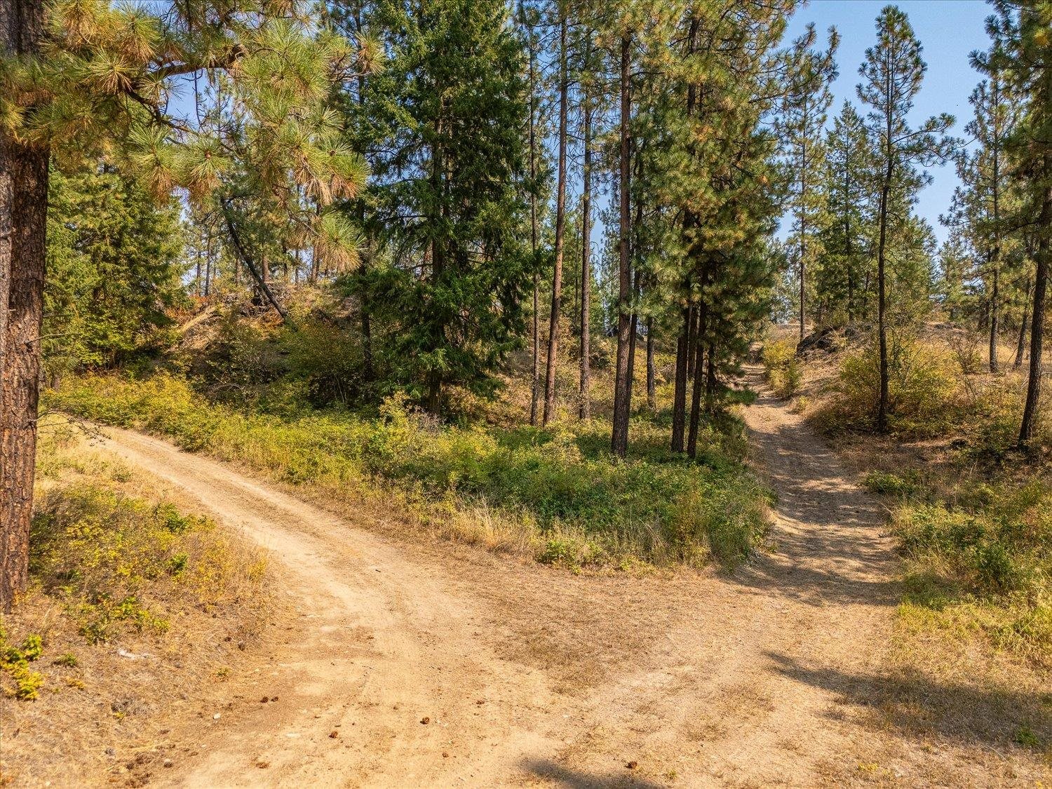 1828 B Hutchison Road Addy, WA 99101 - Photo 4 of 18