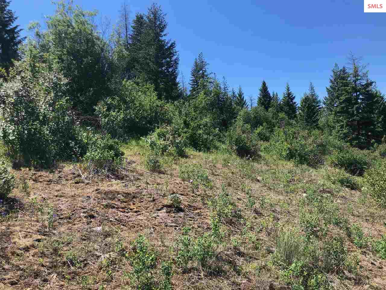 20-acres Highlands Road Sandpoint, ID 83864 - Photo 17 of 20 Gallery Image 17