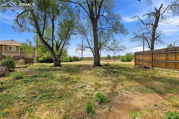 a view of backyard with tree