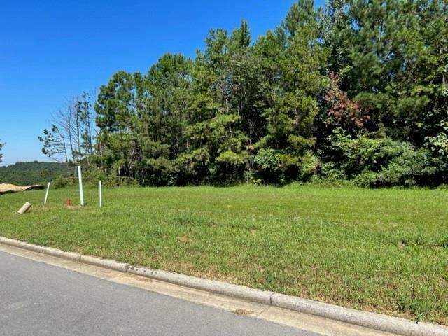 28 Ridgeline Way Cartersville, GA 30121 - Photo 6 of 18 Gallery Image 6