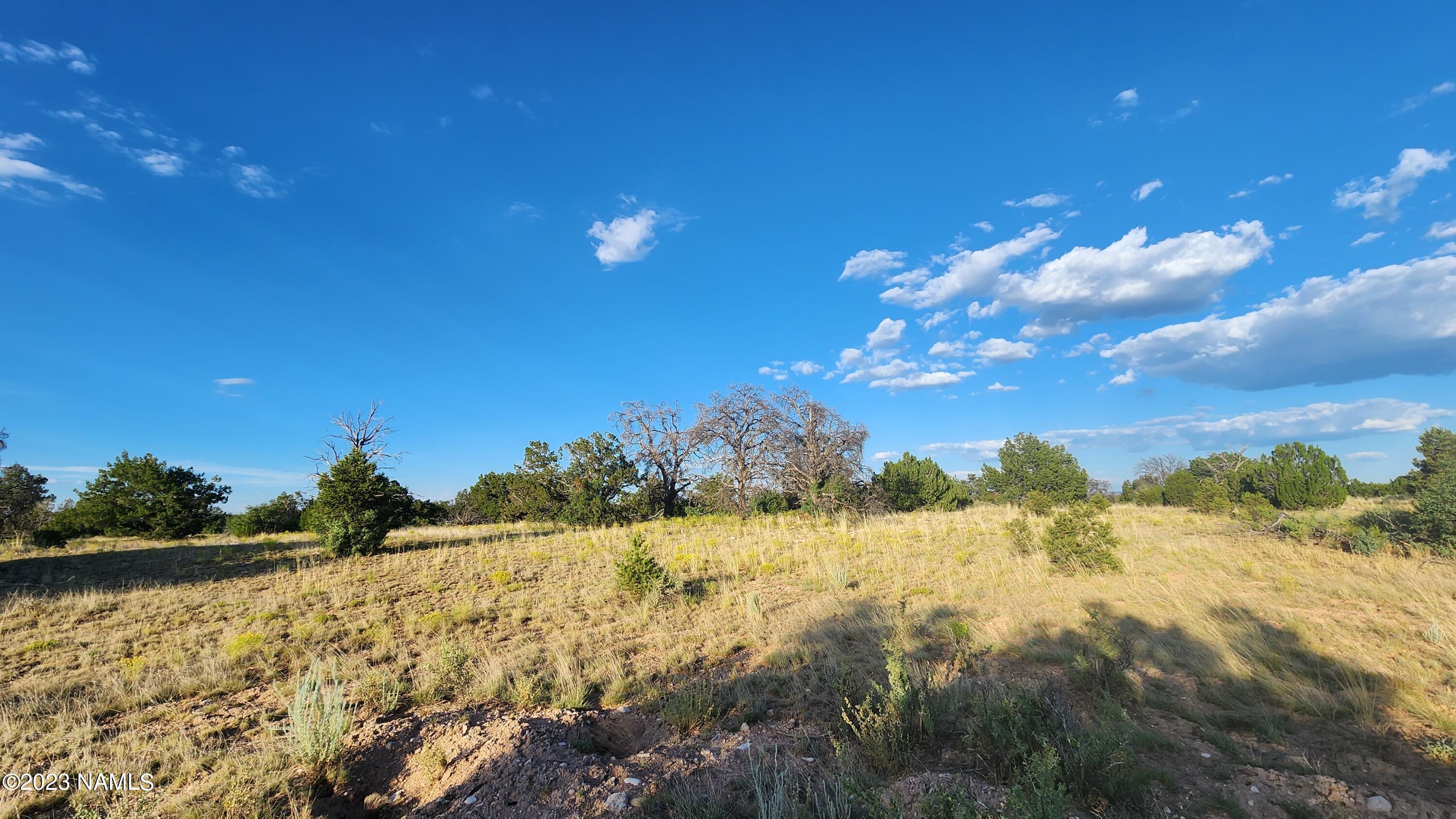 5854 South Estrella Road Williams, AZ 86046 - Photo 12 of 26 20230719_183507