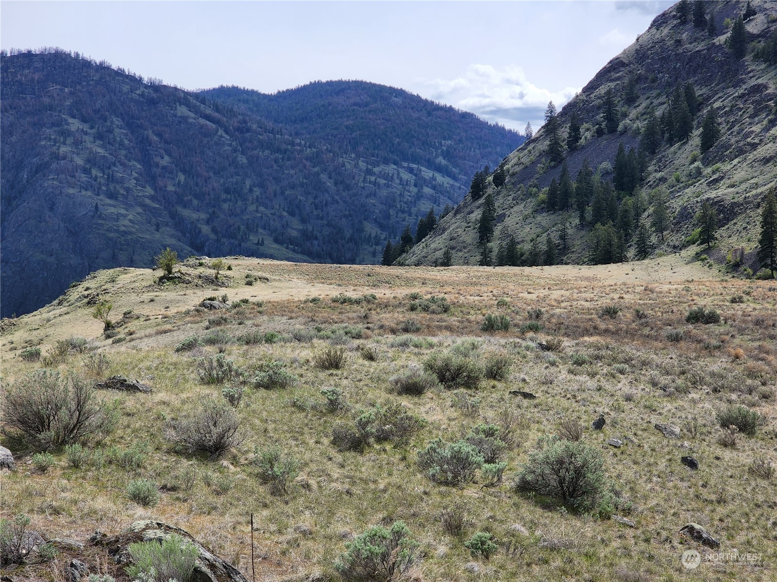 0 Palmer Lake Loomis, WA 98827 - Photo 13 of 30 a view of a dry yard