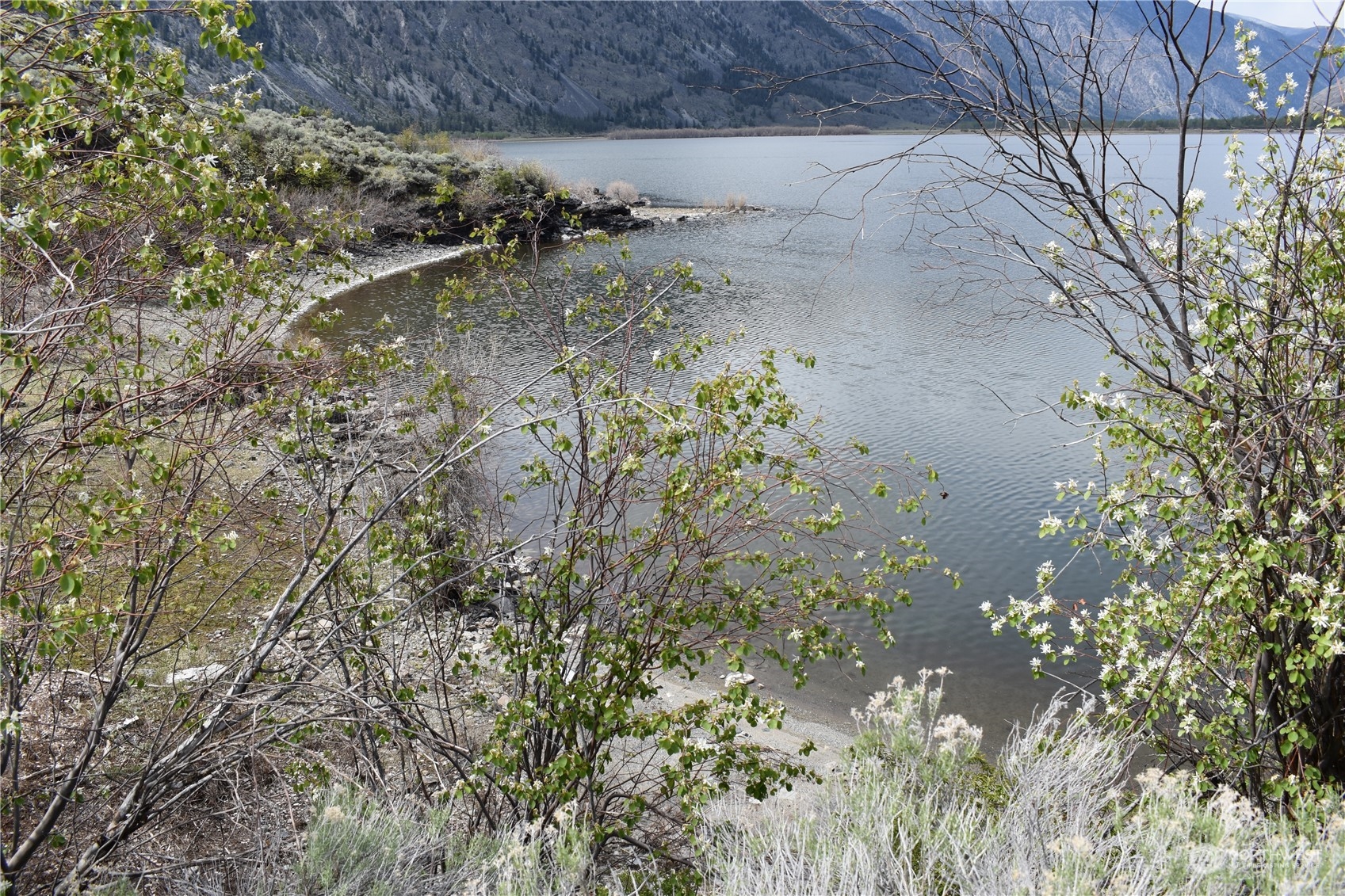 0 Palmer Lake Loomis, WA 98827 - Photo 19 of 30 a view of water tree