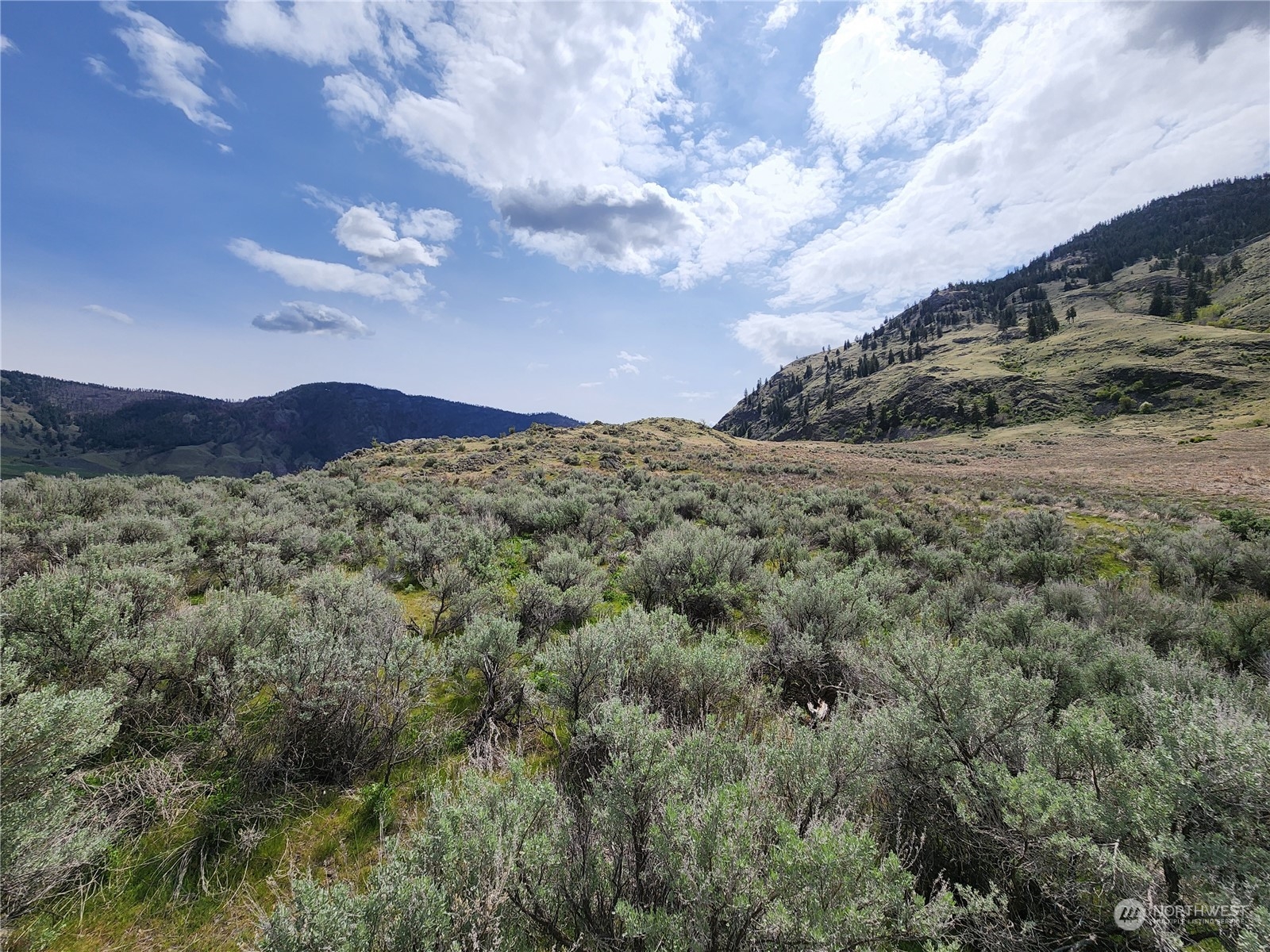 0 Palmer Lake Loomis, WA 98827 - Photo 7 of 30 a view of a mountain in the distance in a field