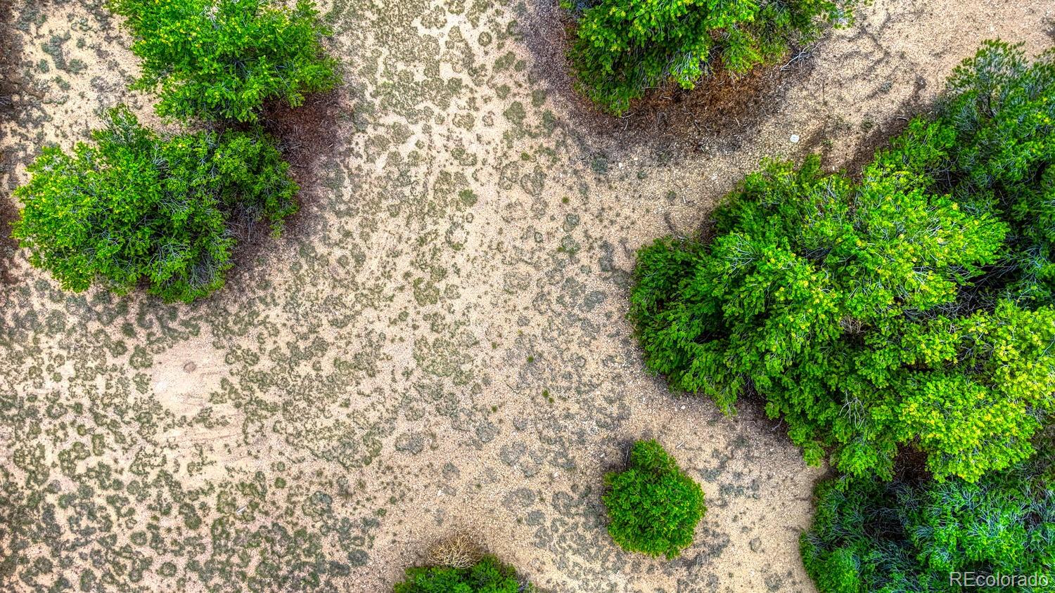 10766 Sawatch Range Road Salida, CO 81201 - Photo 4 of 12