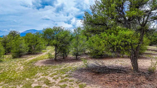 $225,000 | 10766 Sawatch Range Road, Salida, CO 81201