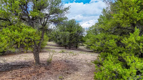 $225,000 | 10766 Sawatch Range Road, Salida, CO 81201