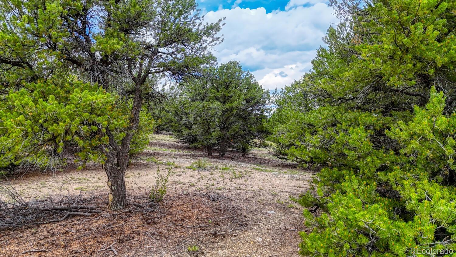 10766 Sawatch Range Road Salida, CO 81201 - Photo 9 of 12